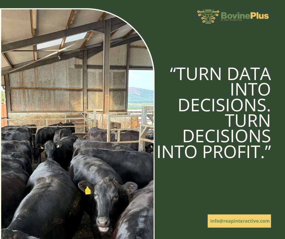 The most useful upgrade your farm can make isn’t a bigger tractor — it’s smarter data.
With BovinePlus you’ll know:
✅ Daily live weight gain
✅ Feed &amp; water efficiency
✅ Early health alerts
✅ Full herd insights, stress-free

#SmartWeighing #FarmTech #DLWG #BovinePlus