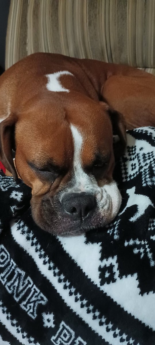 Happy birthday to this lil darlin baby 🥳