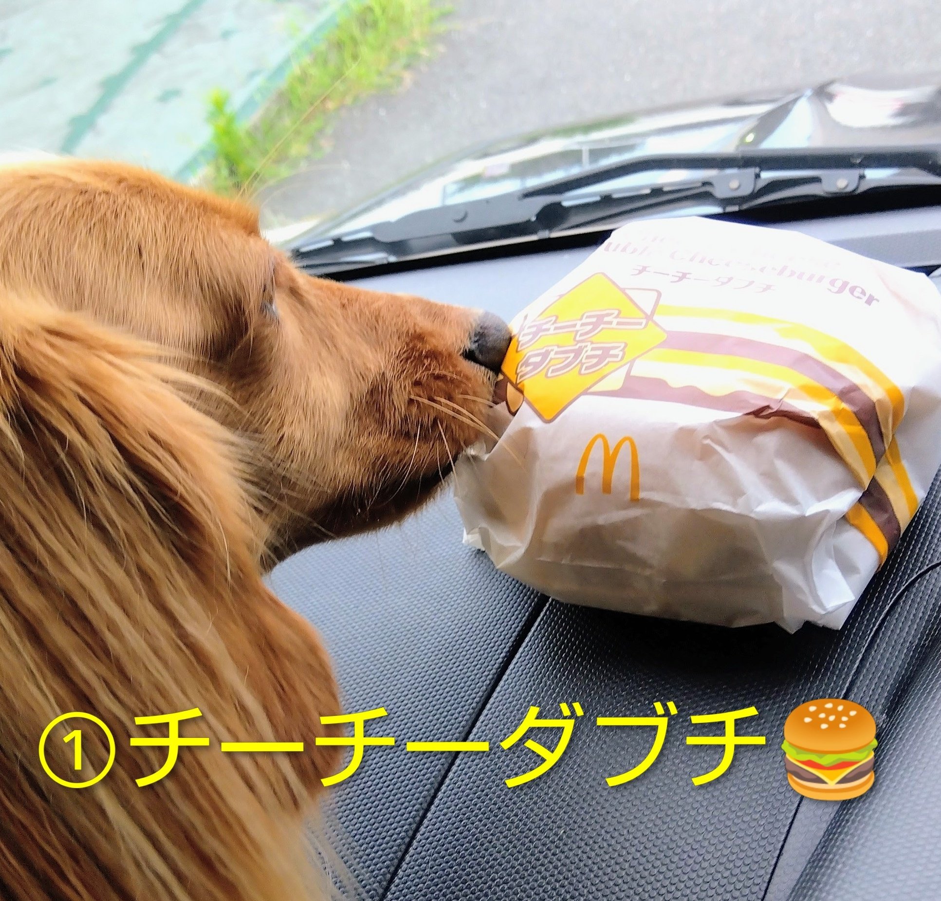 早いもん勝ち #LUNASEA （その2） wildcat_かよ (@wildHONEYcat) / X