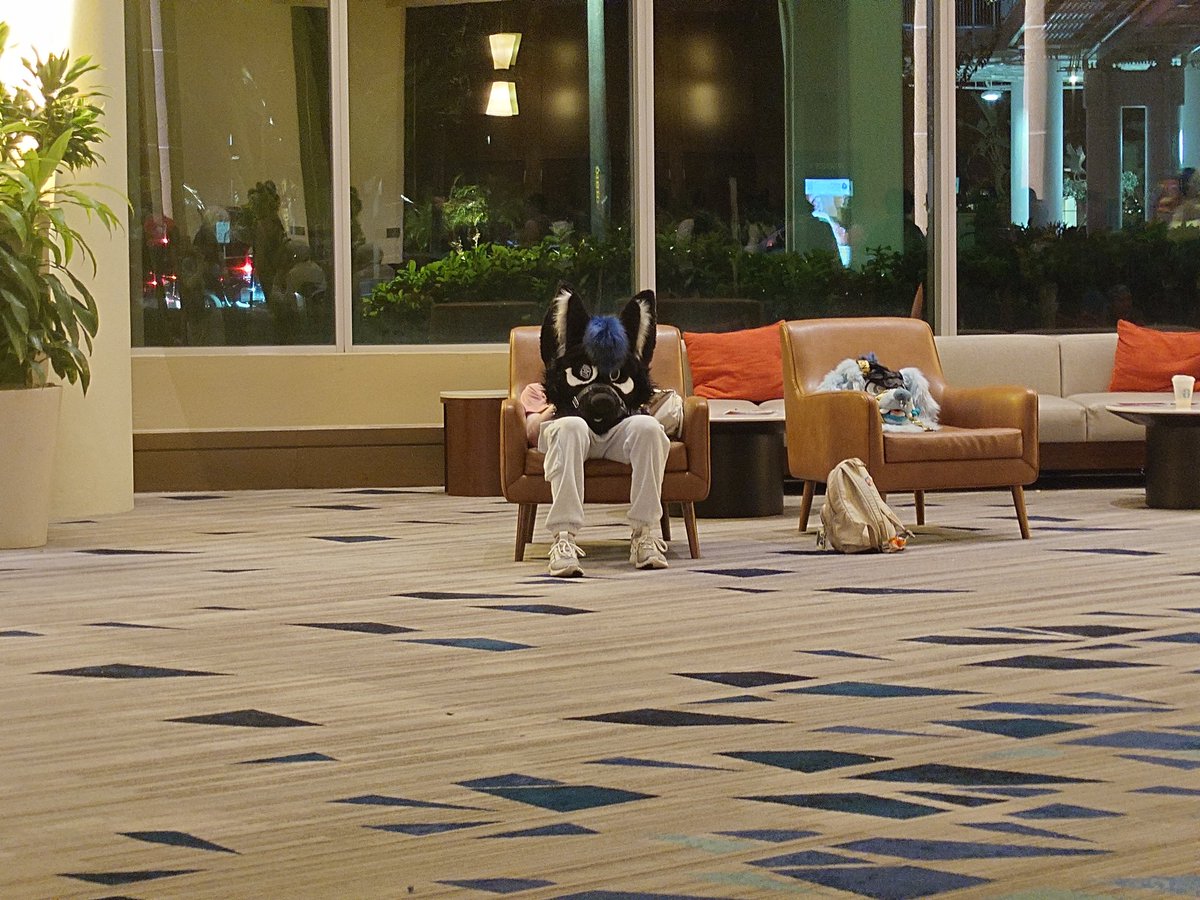 MistLite tweet media