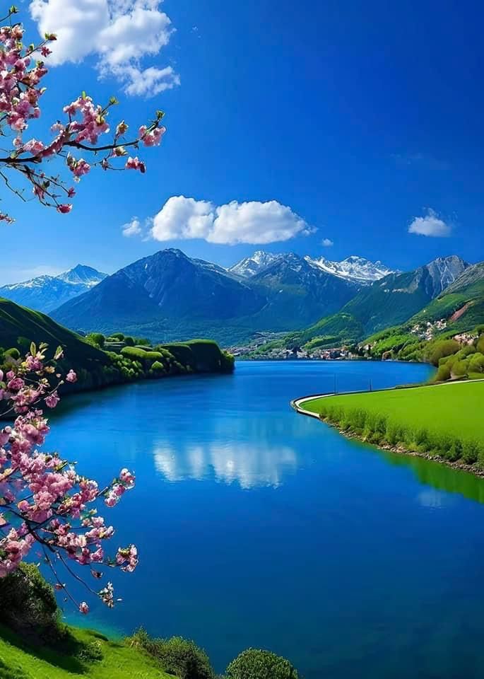 Nolan8981256421's tweet image. Good morning!  🥰Have a great day!🪷💫🍀