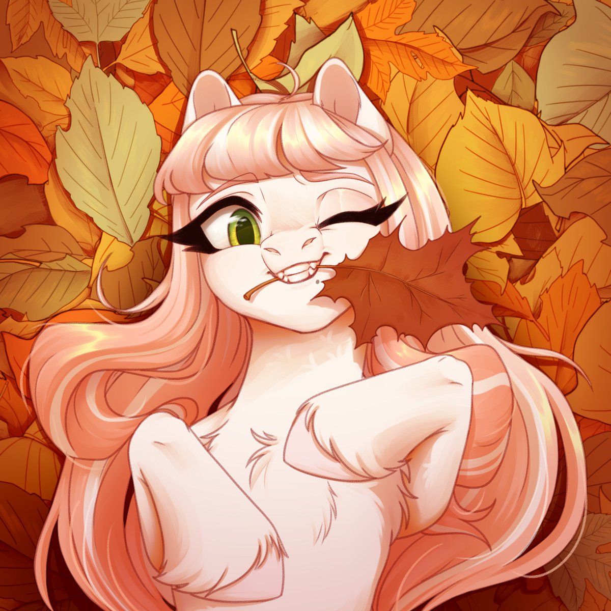 New avatar on Boosty

#mlp #pony #mlpfim #Brony