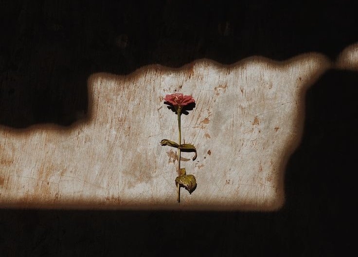 "O gerçek sevgiyi kaybetti ben ise gerçek sevgiye olan inancımı."