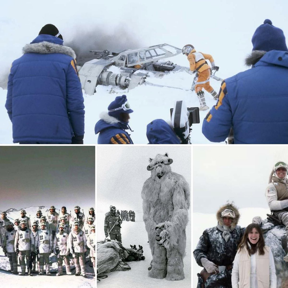 Mark Anthony Austin tweet media