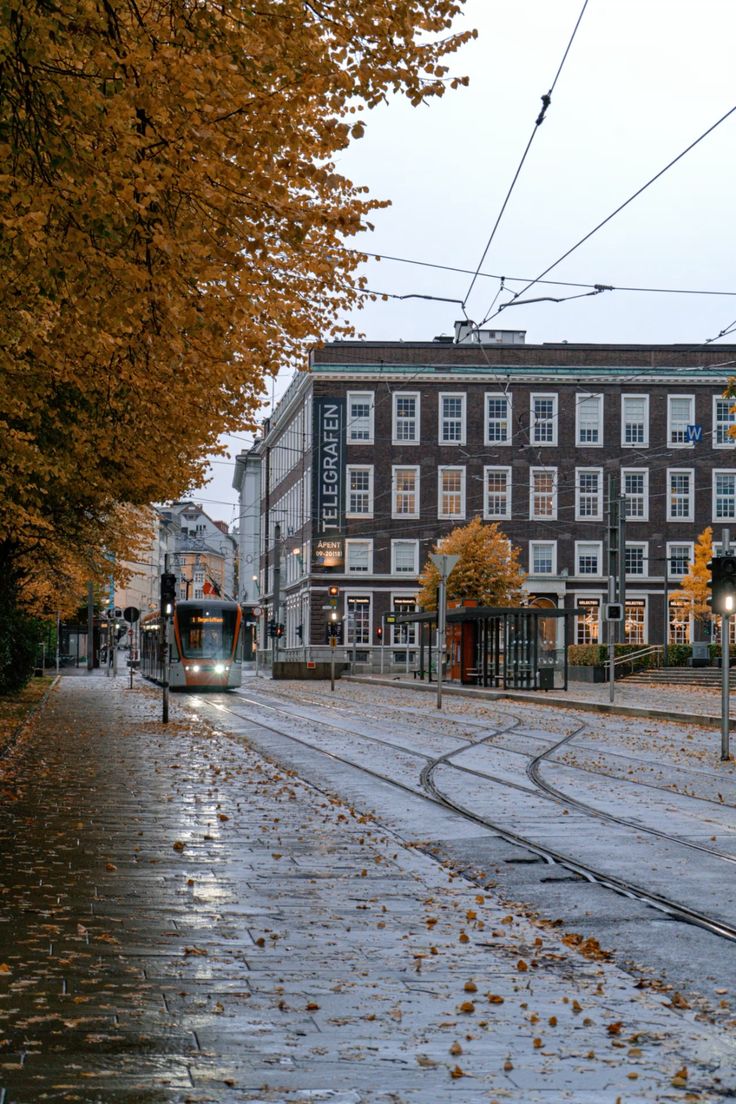 Its autumn  in Bergen🇧🇻..and  lovely  evening   second september 2025  df...☘️🌿🍂🍁