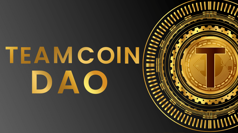 Welcome to the TeamCoin DAO family. We are a DAO dedicated to collaborating with NFT projects. You can contact us by sending us a private message. We will gladly contact you.