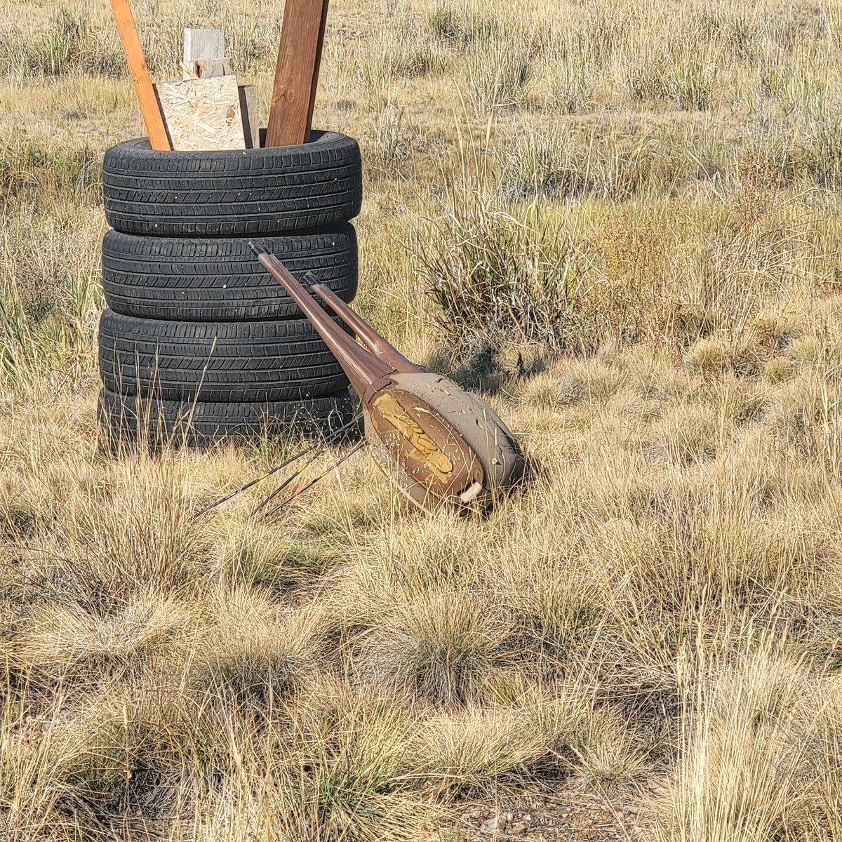 MyRefuge56's tweet photo. I killed it! 🤣... had to tie him to the tires... I am WAY out of practice! But will start shooting every day. https://t.co/SZEUa1aKos