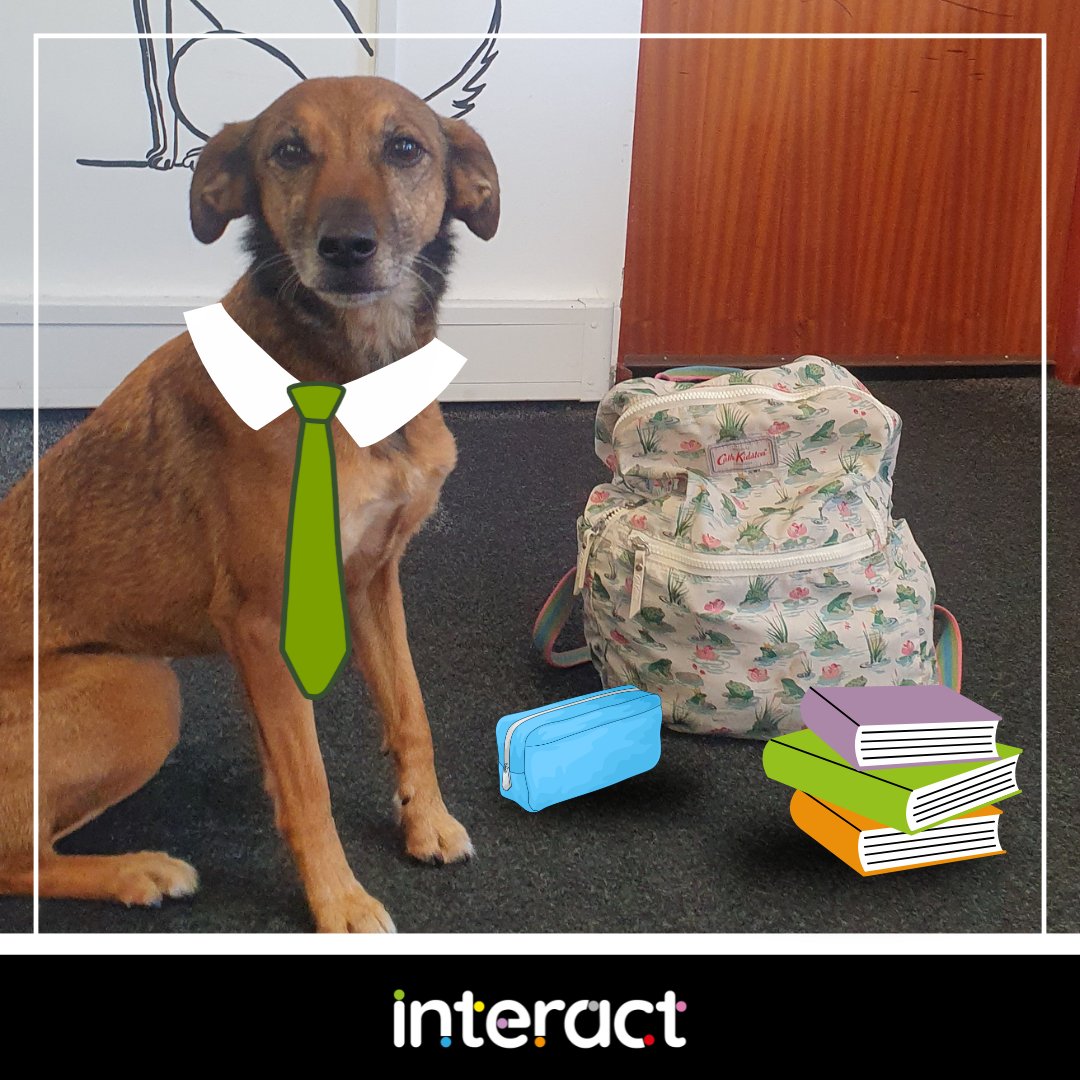 Interact Digital tweet media