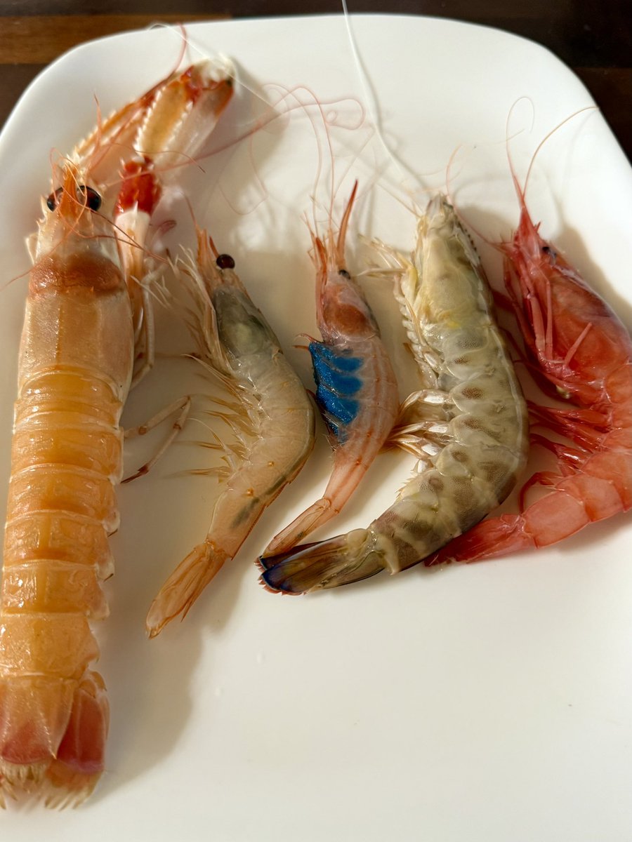 Memorias de una comida difícil de olvidar en El Saladero (La Caleta de Vélez, Málaga), probablemente el mejor chiringuito tradicional de la costa andaluza y mucho más allá. Producto de primerísima que llega vivo de la vecina lonja - escasos quinientos metros les separan -