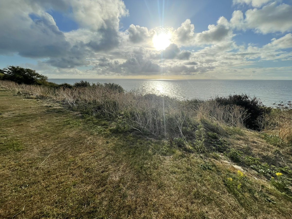Productive sea-watch at Frinton this morning with Ed. Pair of Arctic Skua, Gannet, Shag, 6 Common Scoter, c30 Sandwich Tern, Kestrel in-off, and awesome views of 2 Fulmar! <a href="/EssexBirdNews/">EBwS Bird News</a> #EssexBirding #UKBirding