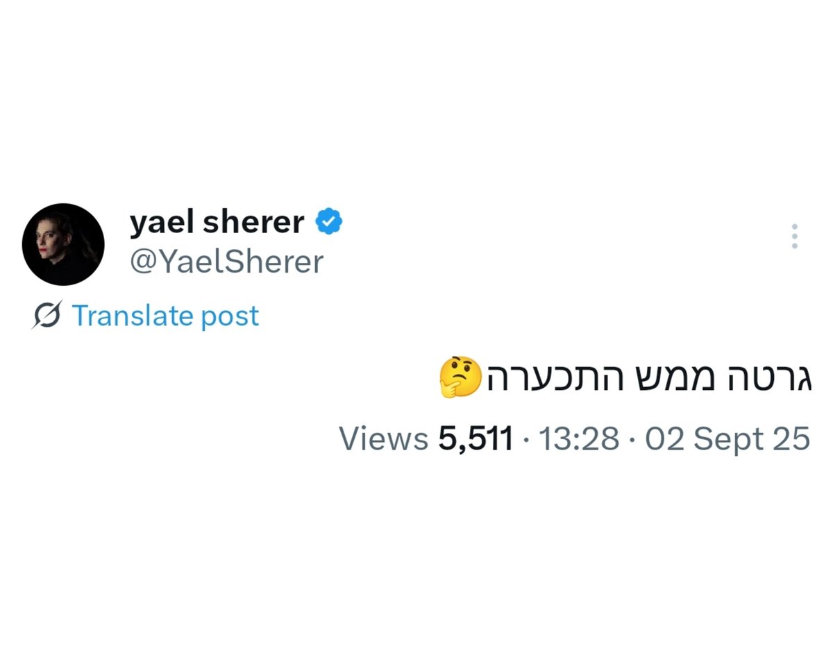 "Greta got really ugly 🤔"

Zionist feminism: Yael Sherer, founder and director of the Israeli Lobby to Combat Sexual Violence, describes herself on LinkedIn as an "outspoken, outgoing champion of women's rights and human rights". This is what she has to say about the flotilla