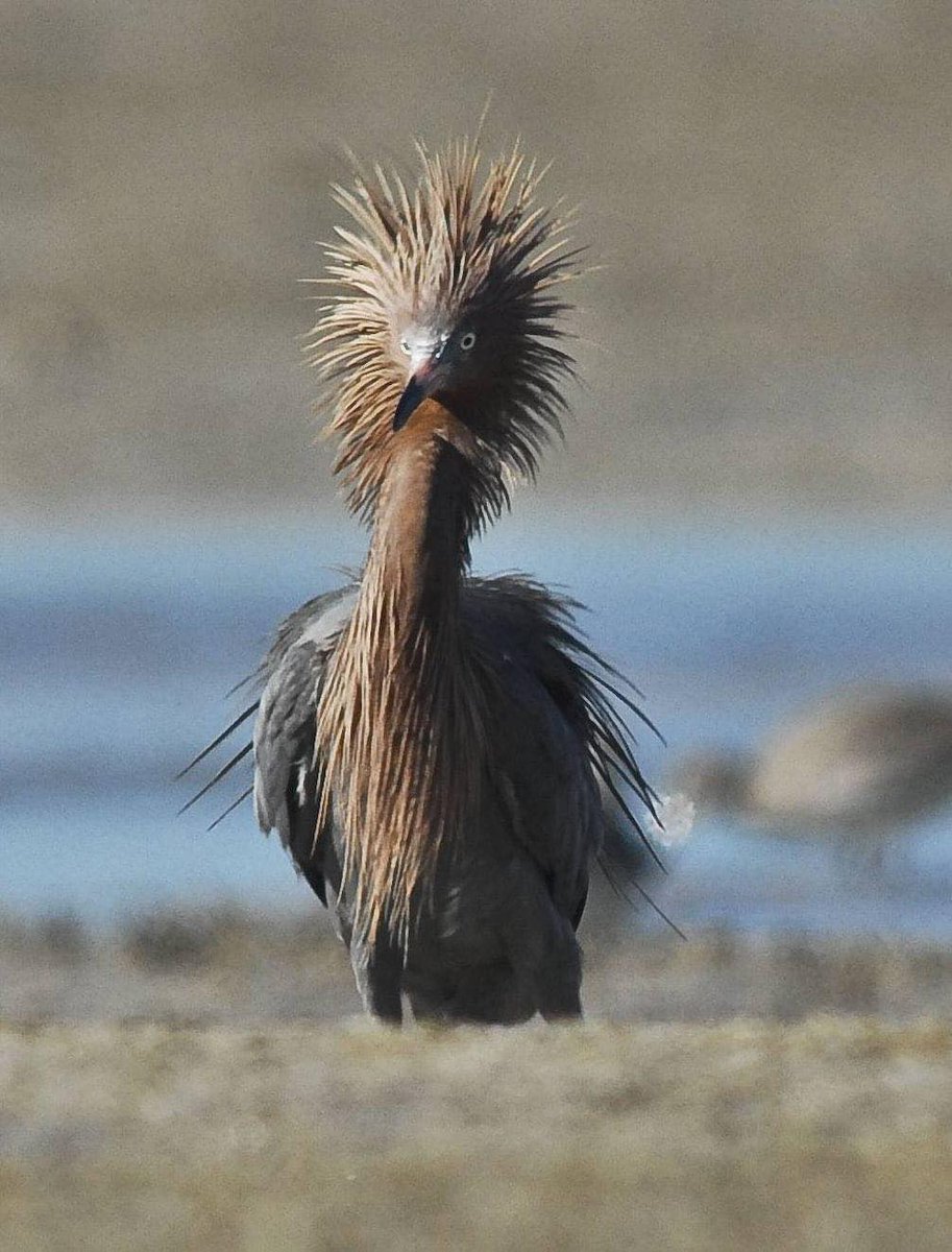 National Park Service (@natlparkservice) on Twitter photo Going into Tuesday after a 3-day weekend... Going into Tuesday after a 3-day weekend...