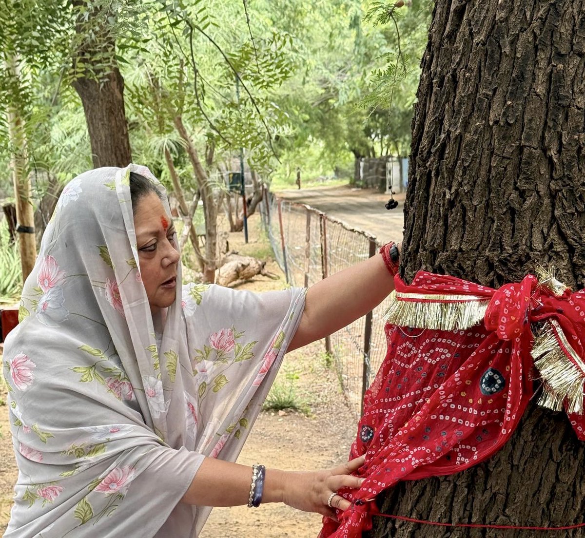 VasundharaBJP's tweet image. खेजड़ली शहीदी मेले के अवसर पर पोकरण स्थित बीएसएफ परिसर में देववृक्ष खेजड़ी को चुनरी औढ़ाई और उसकी पूजा कर प्रदेशवासियों के सुख-समृद्धि की कामना की। 

खेजड़ी का पौधा लगा कर खेजड़ी संरक्षण का संदेश दिया। साथ ही, वहाँ 128 आर्मी ईको टास्क फोर्स परिसर में सिंदूर का पौधा लगाकर जवानों…