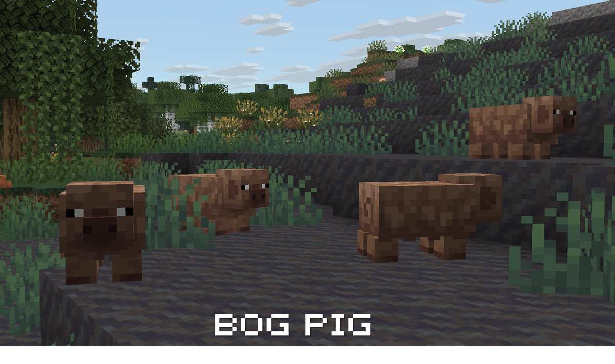 🔑 Konci tweet media