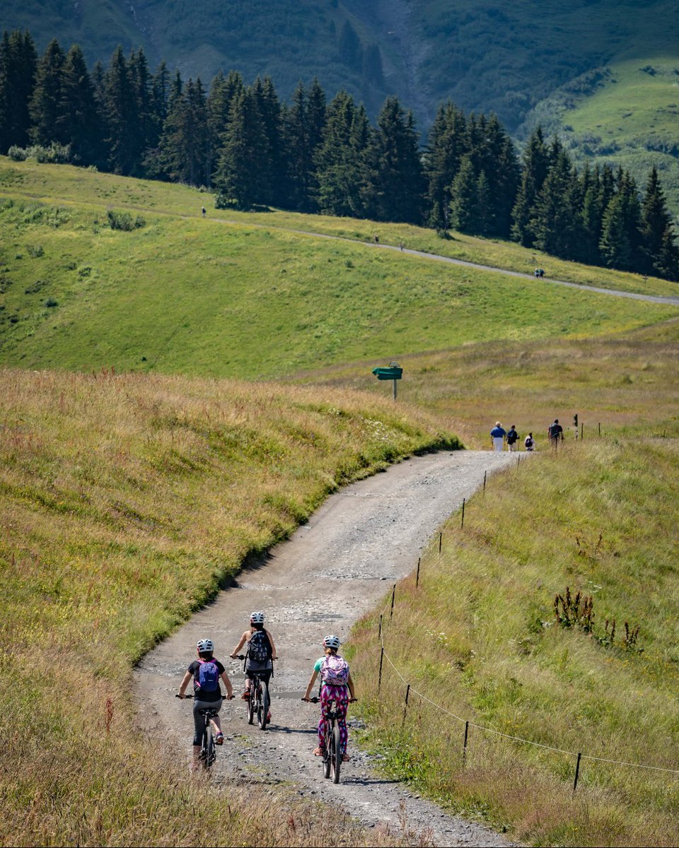 Explore the Alps effortlessly, straight from our Hotel
Our E-bikes are available daily from 9 AM to 6:30 PM for a scenic 2-hour ride through breathtaking alpine trails. 🚴‍♂️🏔️

Don’t forget to register with our concierge team to reserve your adventure!

Photo : Simon Garnier