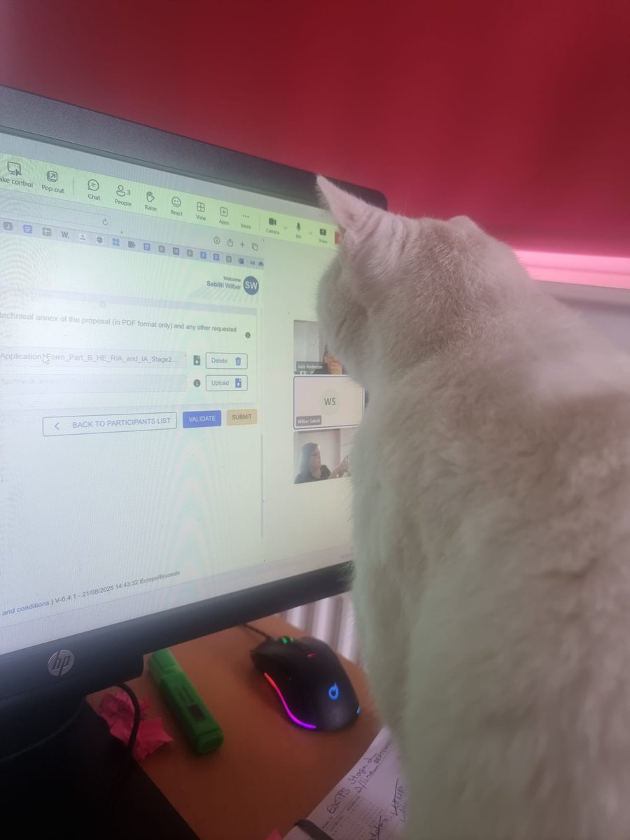 Fantastic Cat Albie watching over attentively as I submitted my EDCTP3 grant application. No time to pause.. He was so concerned I might miss the deadline. Thank goodness, we got it submitted despite the website crashing many times. <a href="/Infection_StAnd/">Infection St Andrews</a> <a href="/TBtrials_StAnd/">TB Trials @ Uni of St Andrews</a>