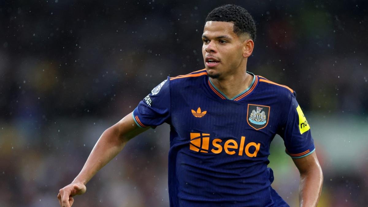 oranjefussball's tweet image. William #Osula 🇩🇰 ist #Ajax's "Plan B", falls der Kasper #Dolberg-Deal nicht zustande kommen sollte - das berichtet @ESPNnl. Der 22-jährige Stürmer steht bei Newcastle United unter Vertrag. Die Verhandlungen zwischen Ajax und Anderlecht wegen Dolberg sind ins Stocken geraten.