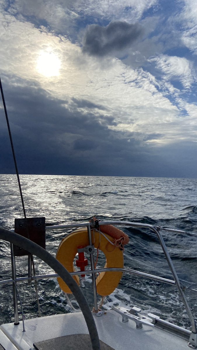 Сањечка и микрорысь 🕊️ tweet media