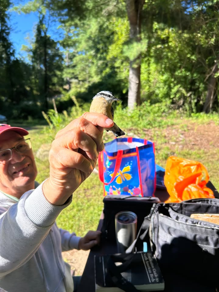 On Sunday, West Hill Dam Park Rangers JJ and Dylan released banded birds. Banding fall migrant birds help globally to record populations, migration patterns, new fledglings (births), health, mortality, and more. 

 #WestHillDam #BirdBanding #ParkRangers #BirdResearch #USACE