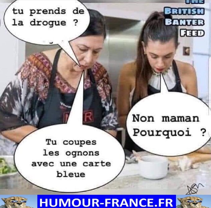 text alternatif