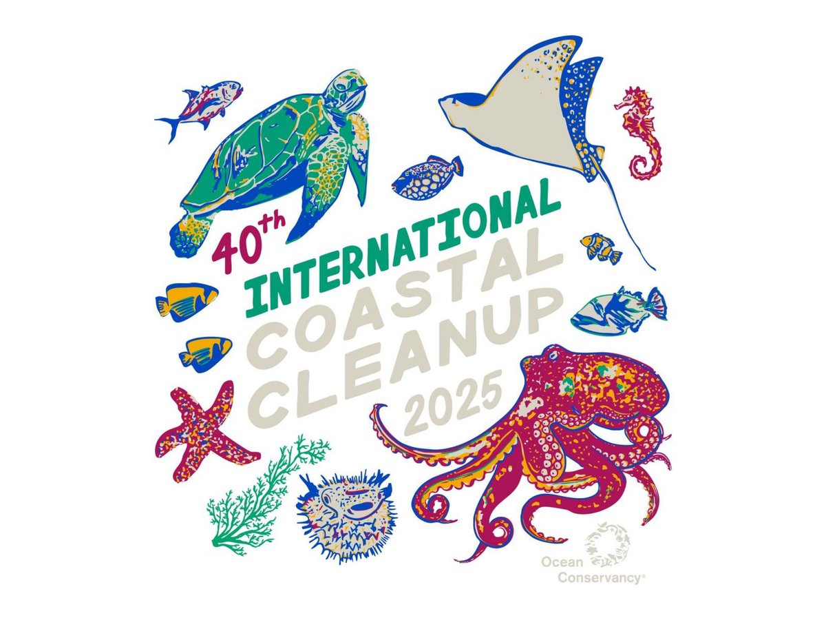 📅 Mark your calendars!
Join Vaya Space for a community beach cleanup 🌊 

Meet our engineers, ask your questions, and help us keep our coastline beautiful!

📍 S. 4th Street, Cocoa Beach
🕗 8:00 – 11:00 AM

buff.ly/Z6MiI16