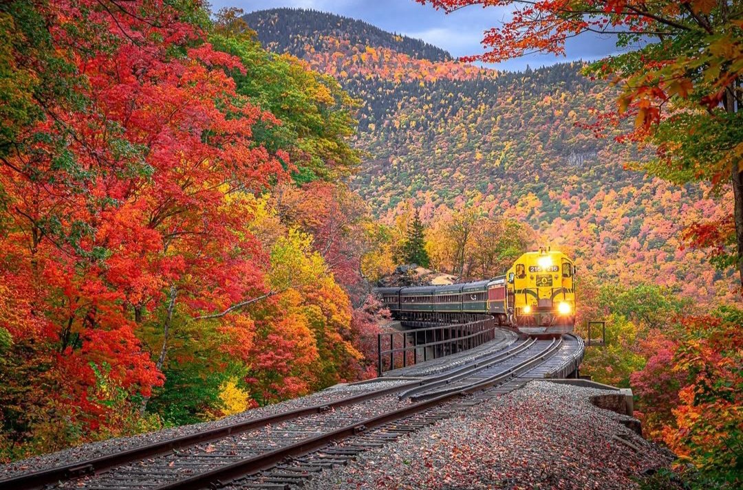 #Hungary #Germany #Venezuela #Greece