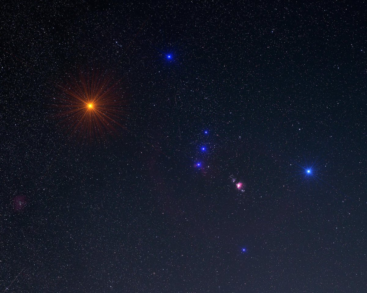 Orion ✨