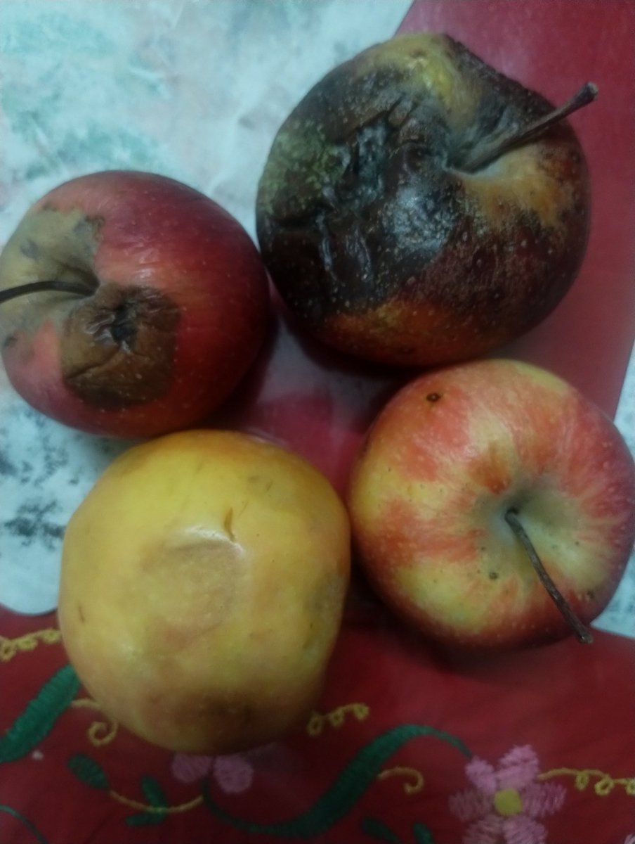 ujjvista's tweet photo. @JioMart @JioMart_Support JioMart your order # 17568258930996926A has been dispatched and I am shocked to see the quality checks at your stores.  This quality of apples are you guys selling to customers? 
@fssaiindia @RIL_Updates can you guys check and take some action here. https://t.co/t4cYzN6rnX