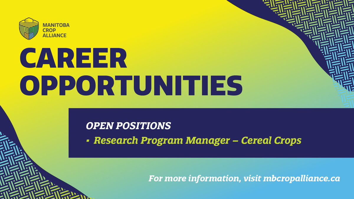 Manitoba Crop Alliance (@mb_cropalliance) on Twitter photo We're hiring! 
MCA is seeking a full-time research program manager for cereal crops to join our dynamic team and serve our farmer members. 
Learn more and apply today: ow.ly/tK7z50WNPfs
#cdnag #westcdnag #MbAg We're hiring! 
MCA is seeking a full-time research program manager for cereal crops to join our dynamic team and serve our farmer members. 
Learn more and apply today: ow.ly/tK7z50WNPfs
#cdnag #westcdnag #MbAg