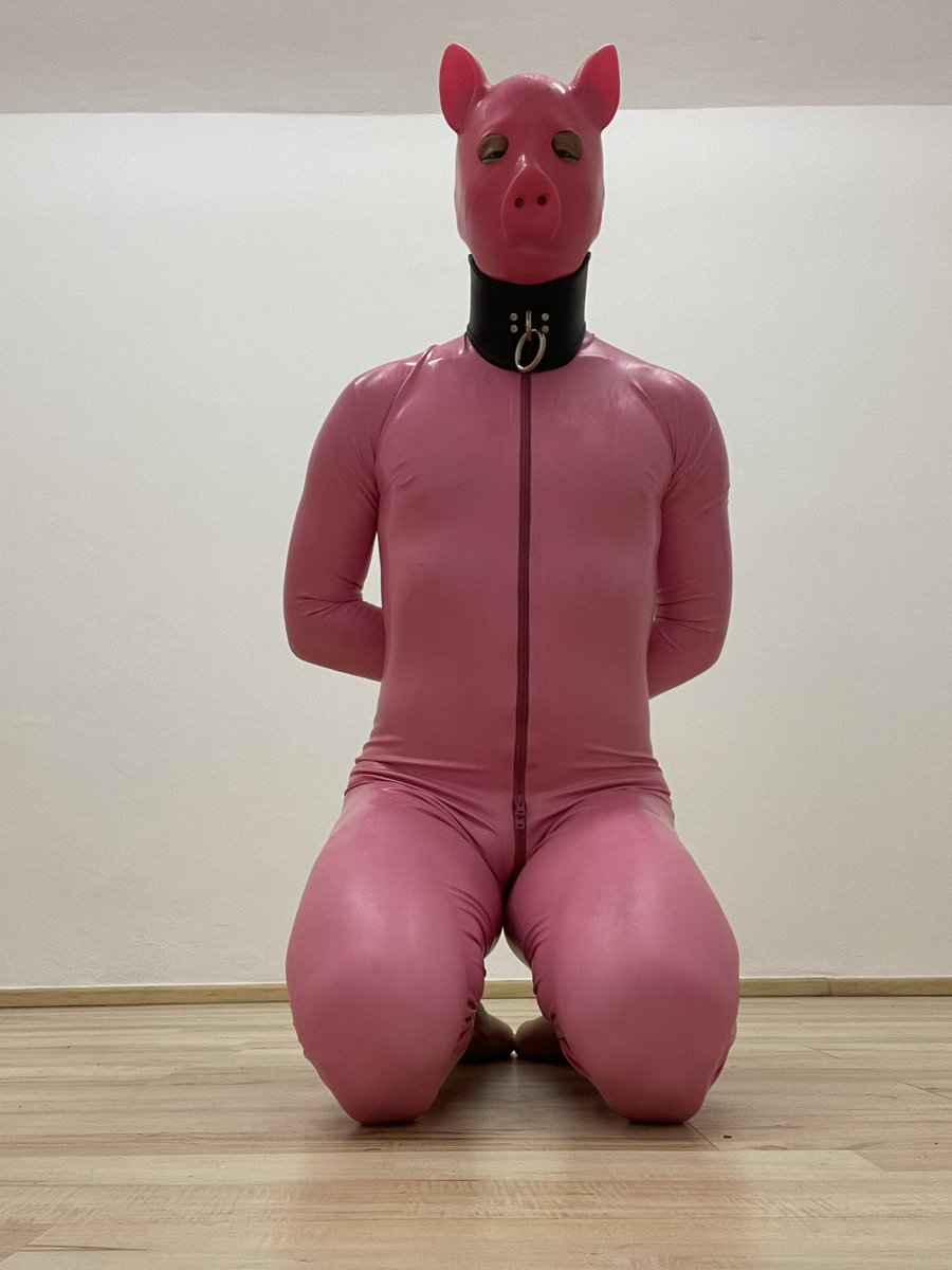 Latex69Slave's tweet image. Never expect, that I will be publicaly presented like that. 
Oink-oink. 
🐷🐷🐷🐷🐷🐷🐷🐷🐷🐷