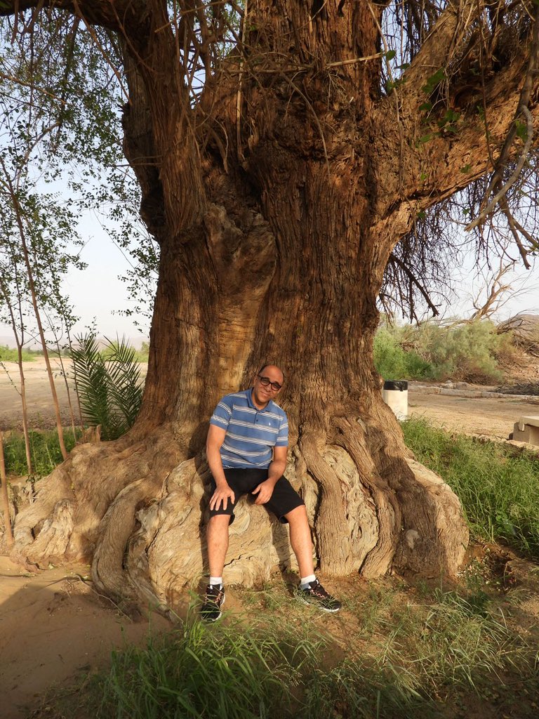 Dr.Hany Abdel Gawwad tweet media