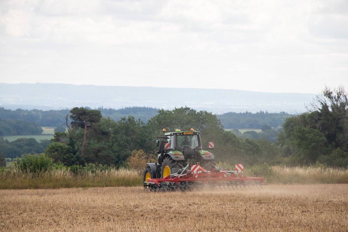 Hutchinsons tweet media