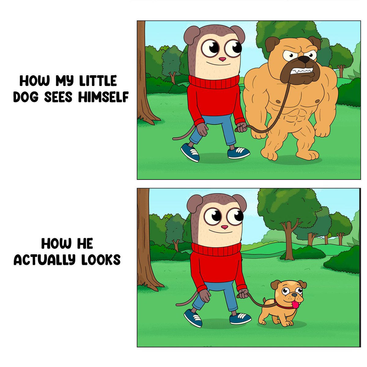 Max_DesignPro's tweet image. 🤣 This is why small dogs bark the loudest #maxdesignpro #dogs #memes