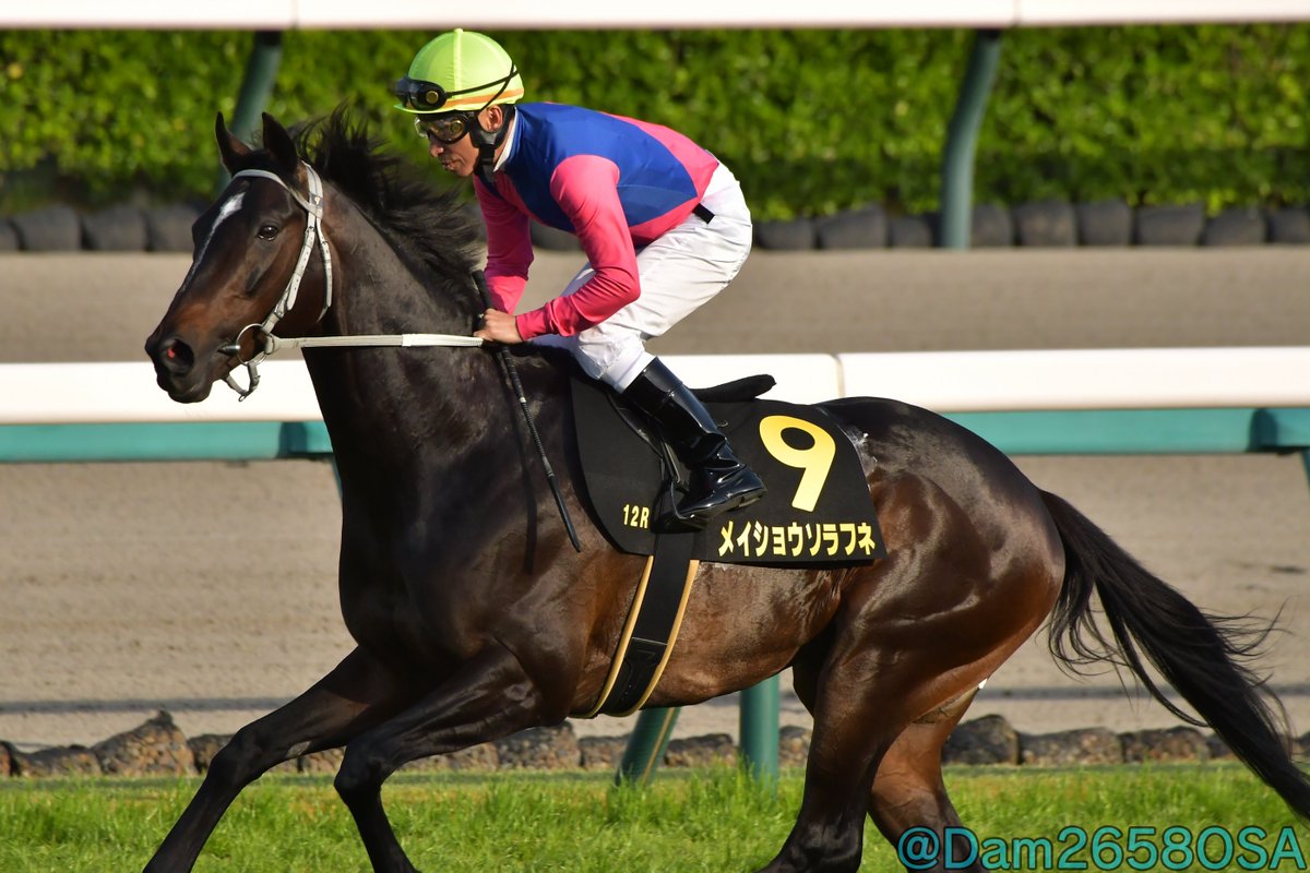 競馬占いと作戦 【書き込みあり】 競馬占いと作戦 【書き込みあり】
