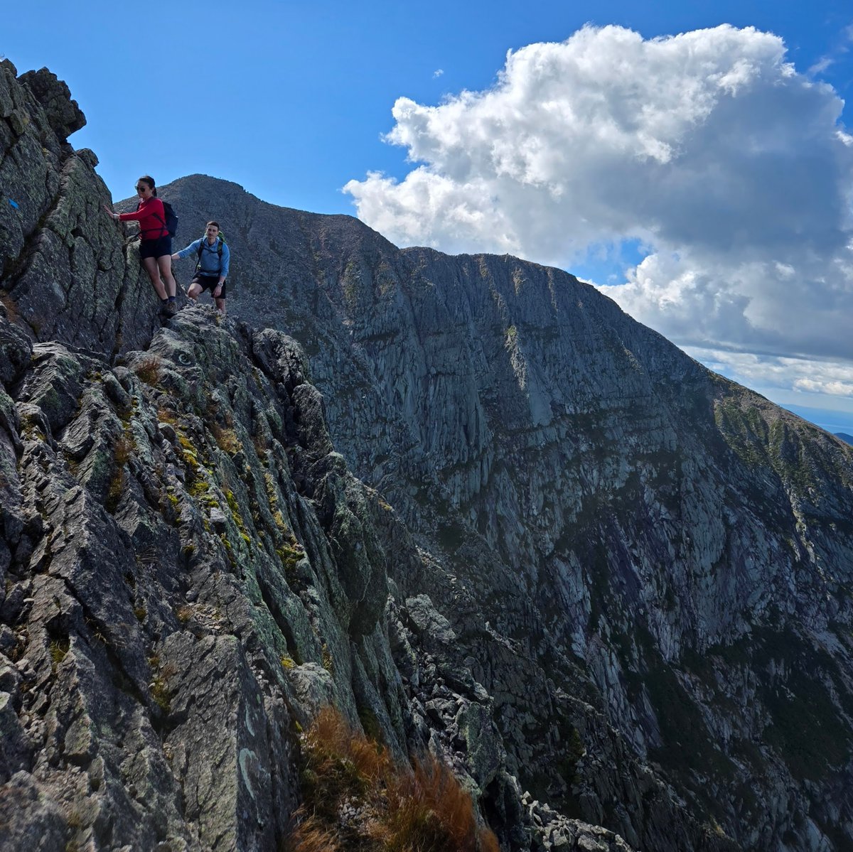 Kyle Nolan tweet media