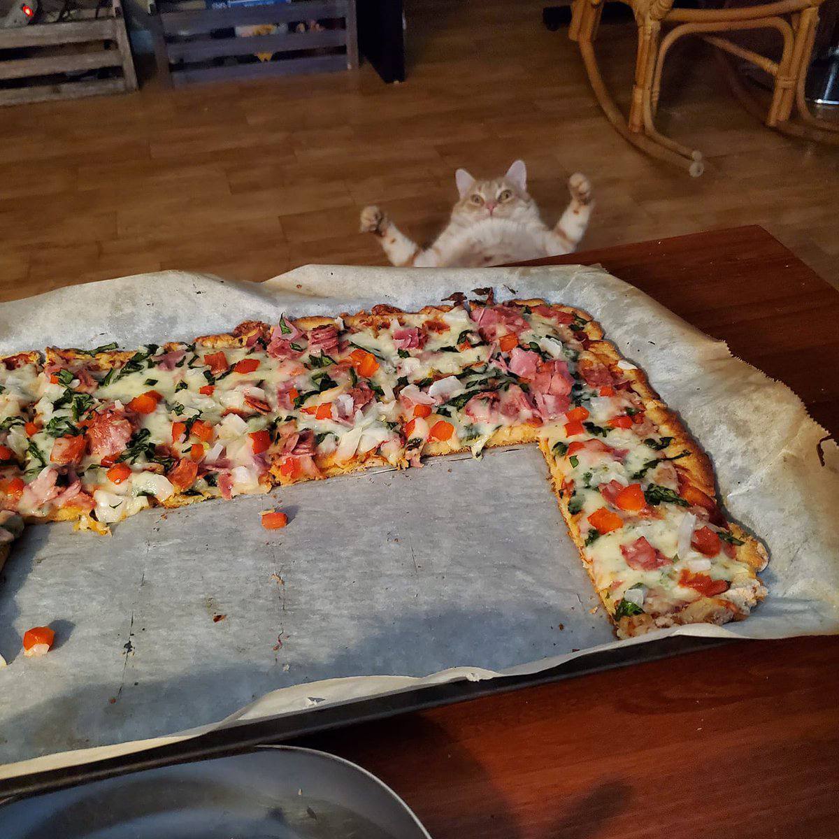 Nickro (@nickro666) on Twitter photo 