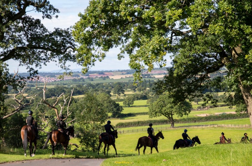 🍾 🥂 🍾 🥂 

Another milestone reached today as with Sceptic winning <a href="/WolvesRaces/">Wolverhampton Races</a> under <a href="/ryankavanagh01/">Ryan kavanagh</a> our total prizemoney won in 2025 has passed £1,000,000 with over £600k coming since 1st July 🏆

Thanks, as always, to my loyal owners, dedicated staff and fantastic horses ❤️