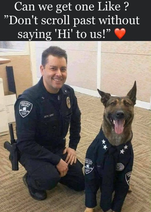 Beyond The Leash (@beyond_theleash) on Twitter photo 