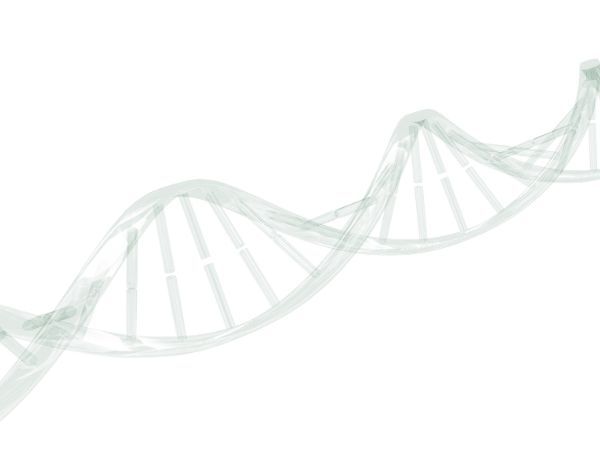 UAB Genetics tweet media