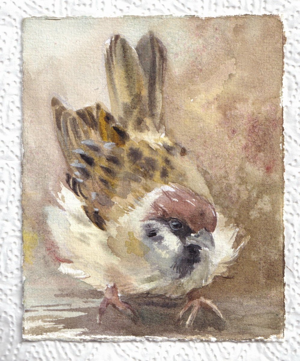 #птаховересень 
День перший та другий