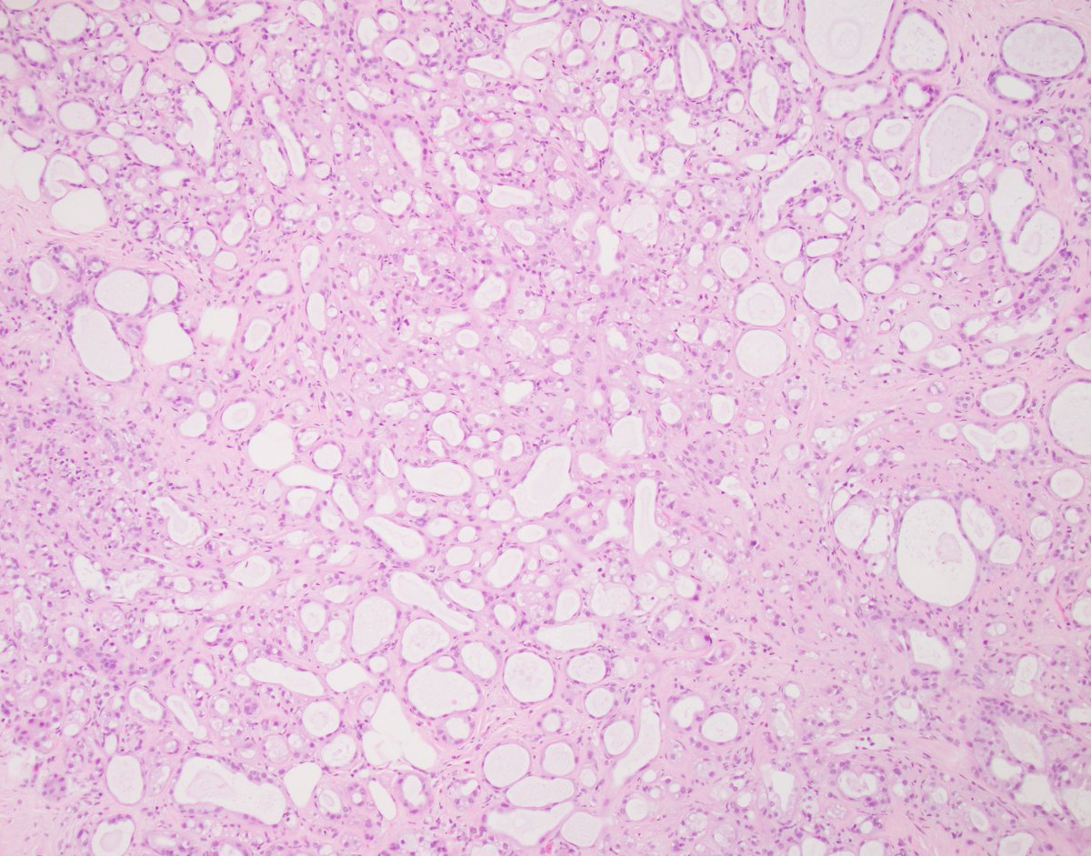 Fouad Boulos tweet media