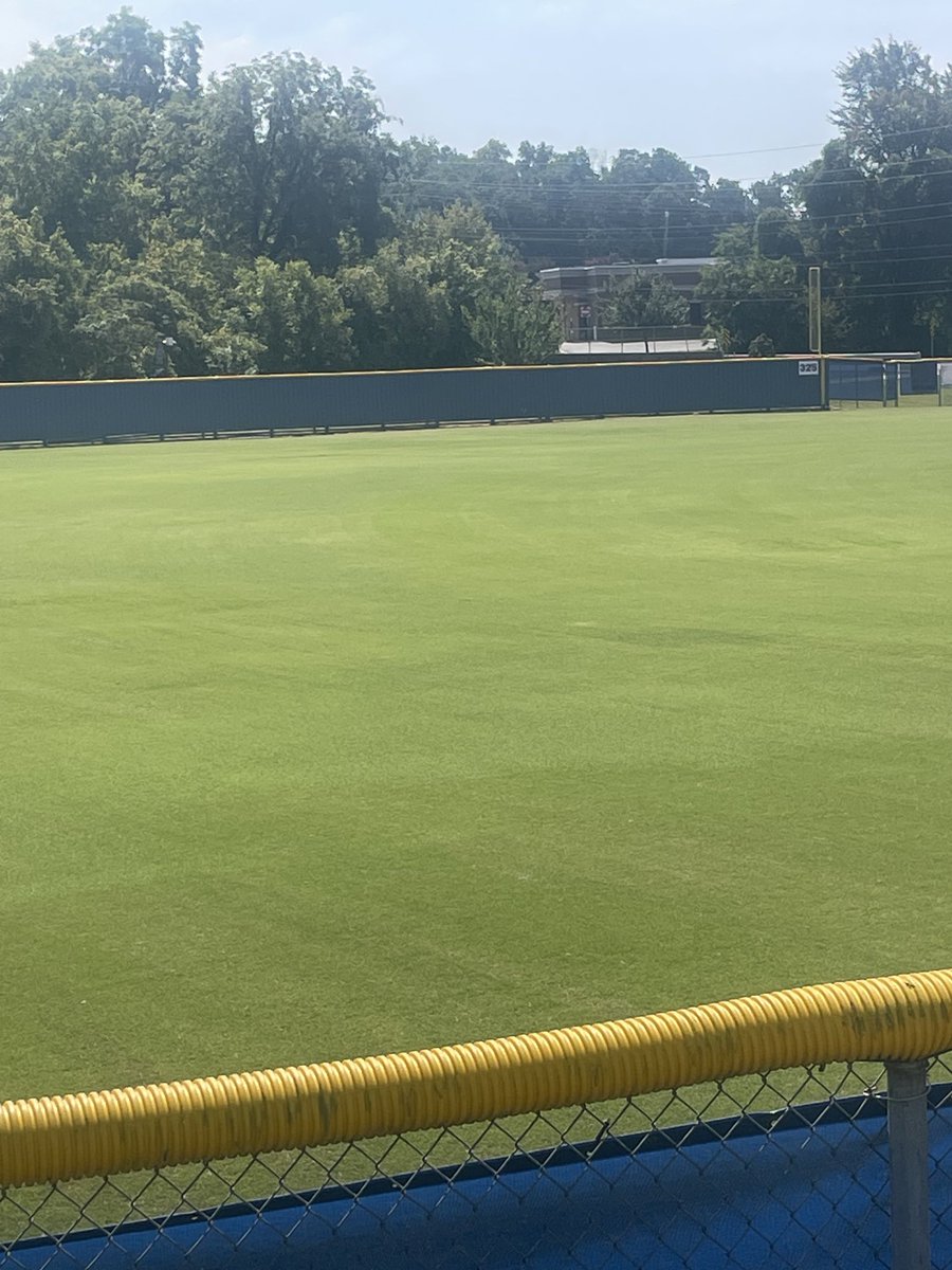 Grass is looking good today!