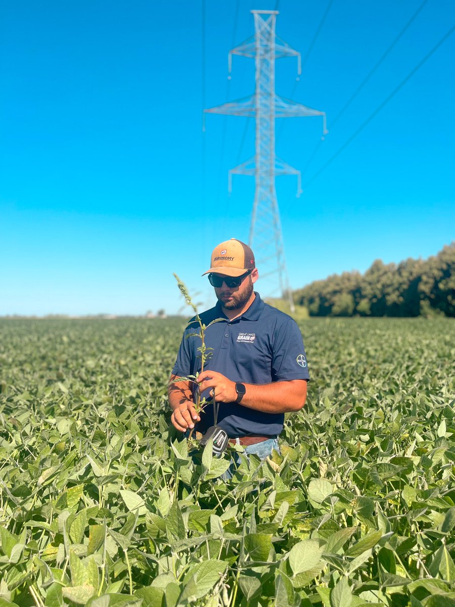 Serenity Marshall tweet media