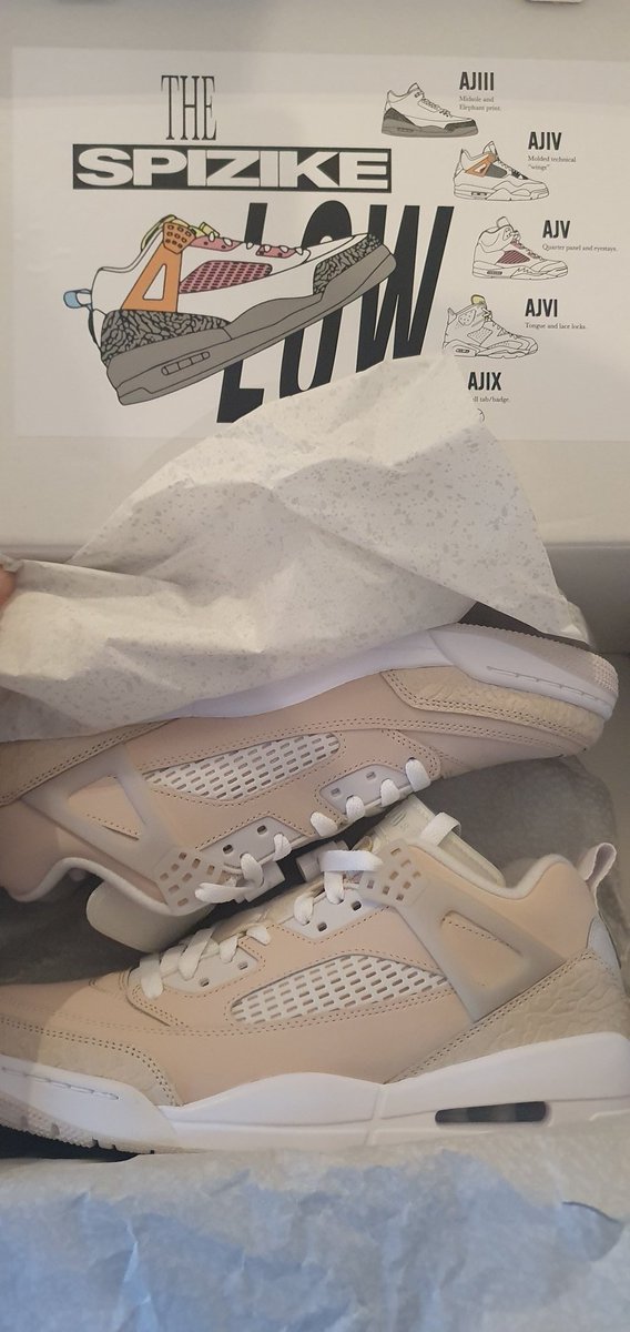 David B. tweet media