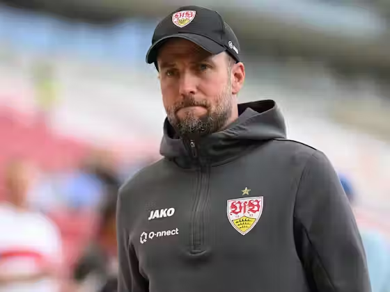 Fener Markaj tweet media