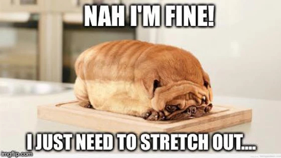 GCSS_Chiro's tweet image. 🥐🐾 Don't wait until you're feeling stiff as a loaf of bread! Book your appointment online and let GCSS help you move with ease again.

#crackdat #alignyourspine #nolachiropractor #metairiechiropractor #moveyourspine #spinehealth #chirocarenola