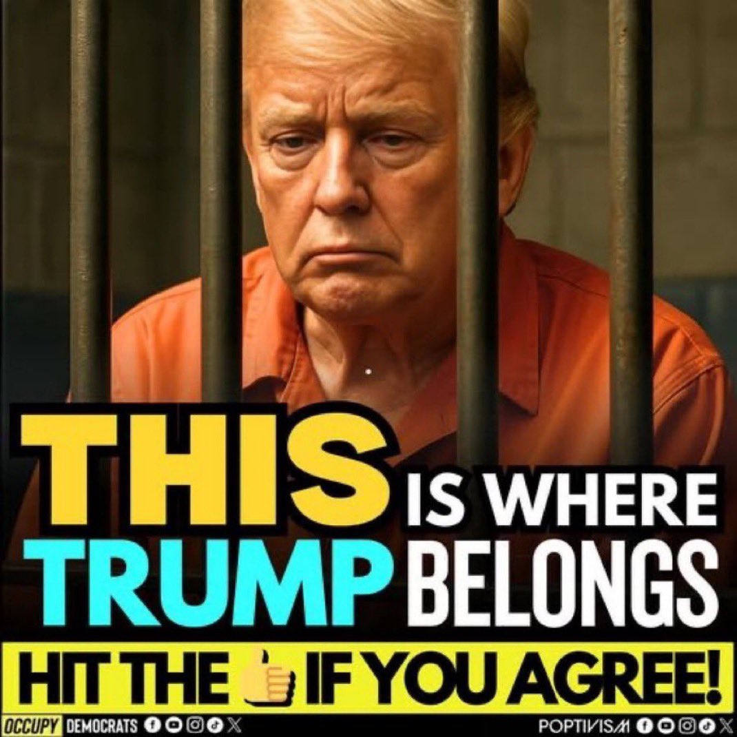 Dede_Watson's tweet image. You are an idiot.