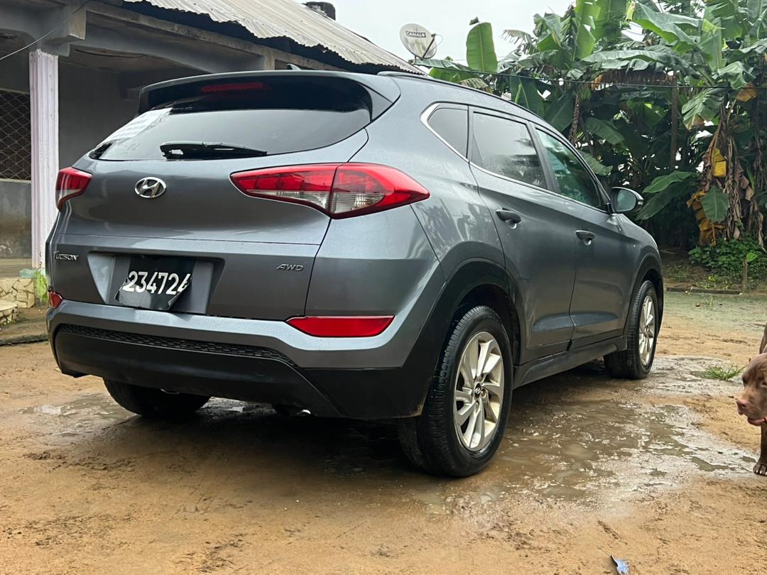 LifeIsChicotte's tweet photo. Hyundai Tucson
Année 2017
Occasion europe
Non immatriculée
Essence 
04 cylindres 1.6
Automatique 
Double toit panoramique 
Compteur:53000km 
Awd actif
Peinture et clim d’origine 
Sièges chauffants
Papiers Douane 
Prix:12.5 Millions
Douala

Franck auto https://t.co/DRn0wzjLdy