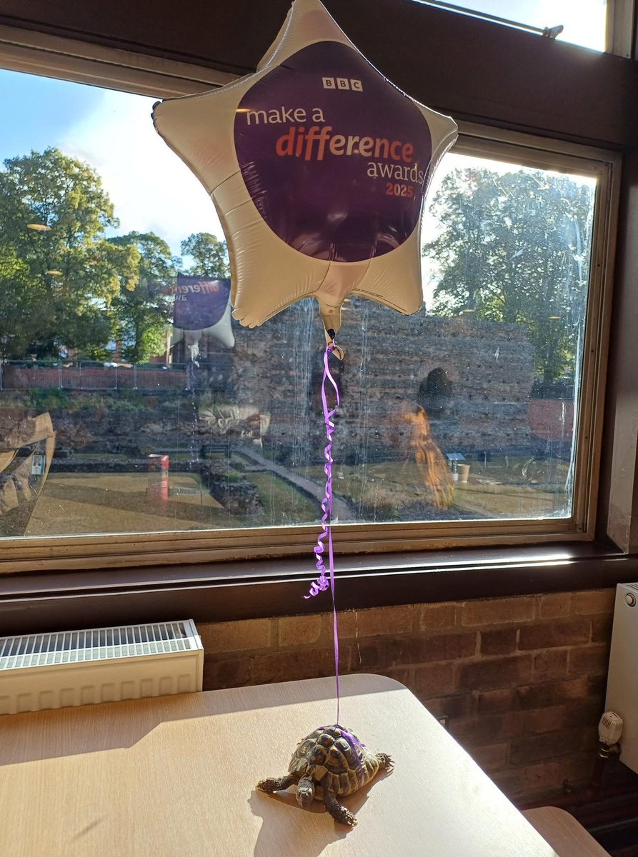 Had a lovely early morning hosting <a href="/BBCLeicester/">BBC Leicester</a> <a href="/Ady_Dayman/">Ady Dayman</a> celebrating the Make A Difference Award Winners with breakfast in our fabulous Jewry Wall Cafe, including Billy the  "emotional support tortoise'' 

Well done to all the winners. Great to meet you <a href="/JewryWallRoman/">Jewry Wall Roman Museum</a> today!