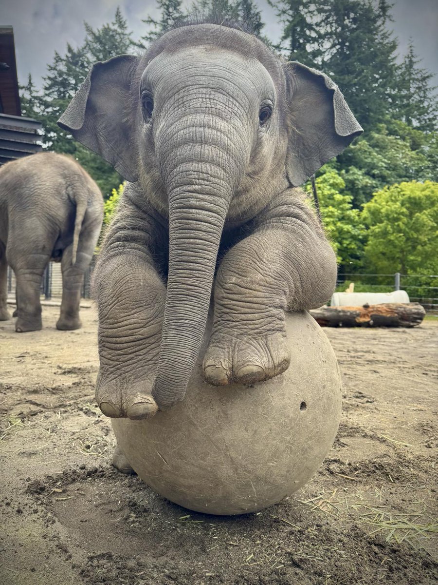 it's tiny trunk tuesday